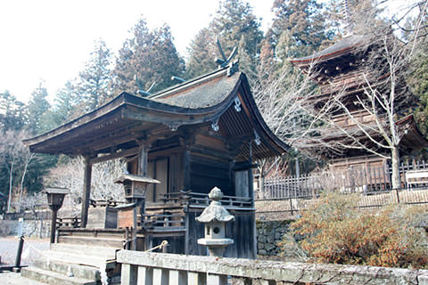新海三社神社