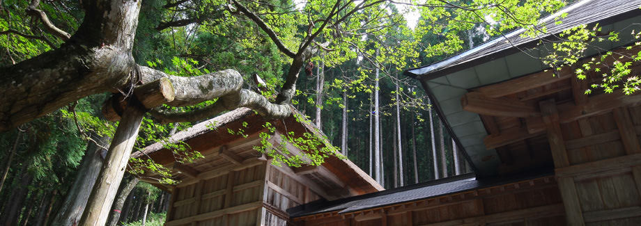 大宮神明社?白馬村