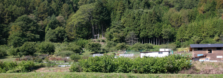 五郎姫神社-伊那市