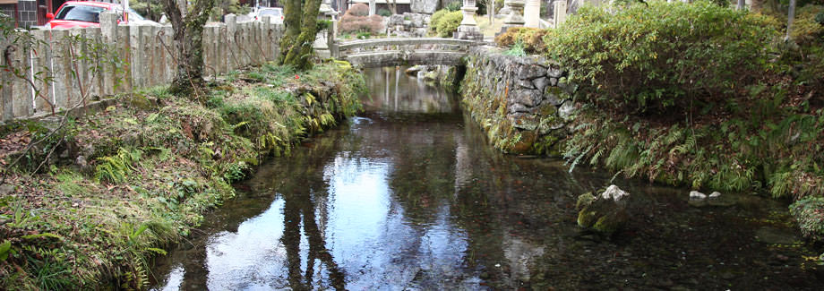 居醒めの清水