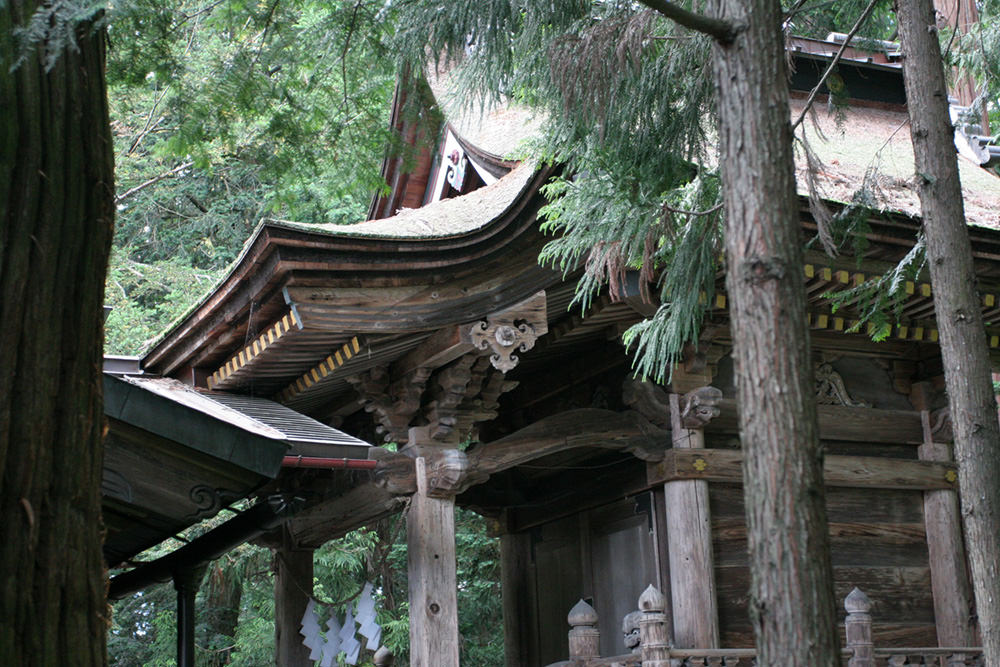 Wakaichi Oji Shrine