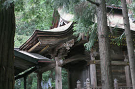 Kimbara Style Architecture - Wakaichi Oji Shrine