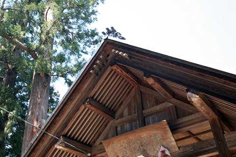 佐野神社