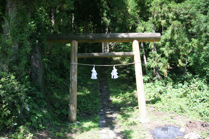 Iiyama