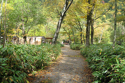 穂高神社奥宮参道