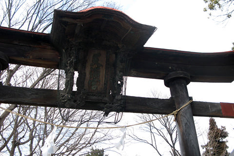 福島天神社の狛牛