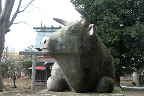 福島天神社の狛牛