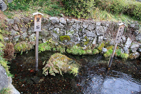 居醒めの清水