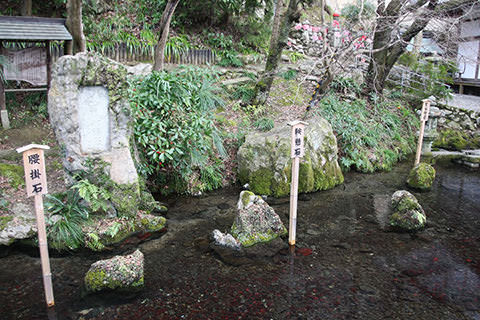 居醒めの清水