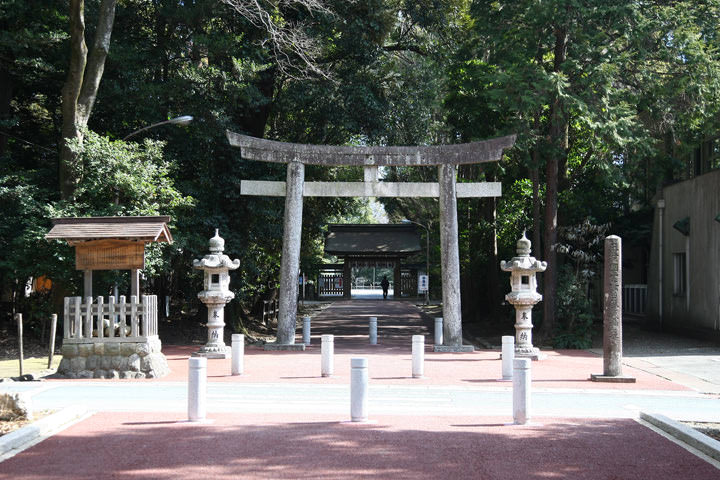 Toga jinja
