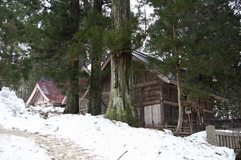 霜降宮細野諏訪神社