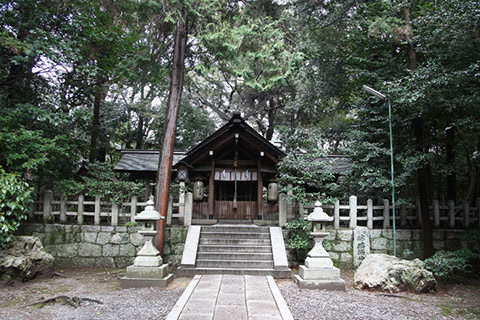 蚕の社 三柱鳥居