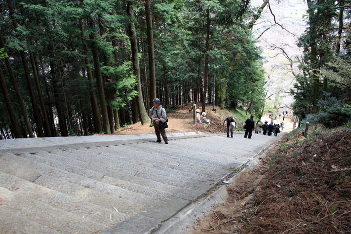 Iinuma suwa jinja Onbashira