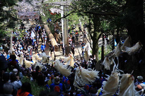 飯沼諏訪神社御柱