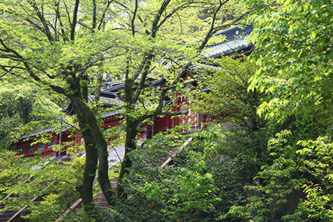 静岡浅間神社