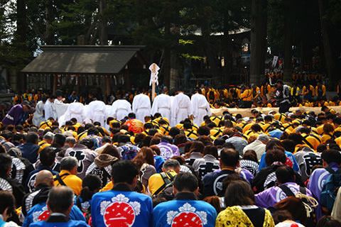 上社御柱里曳き