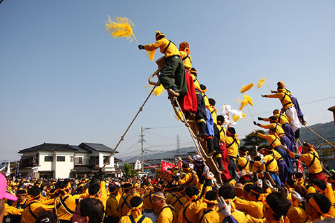 上社御柱里曳き