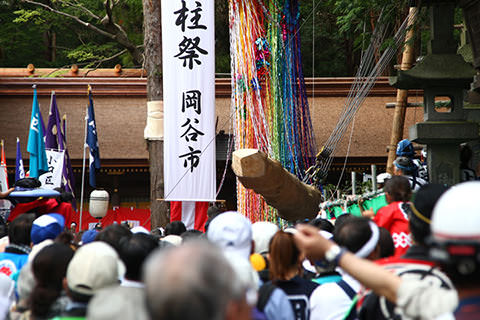 諏訪大社下社御柱里曳き