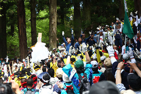 諏訪大社下社御柱里曳き