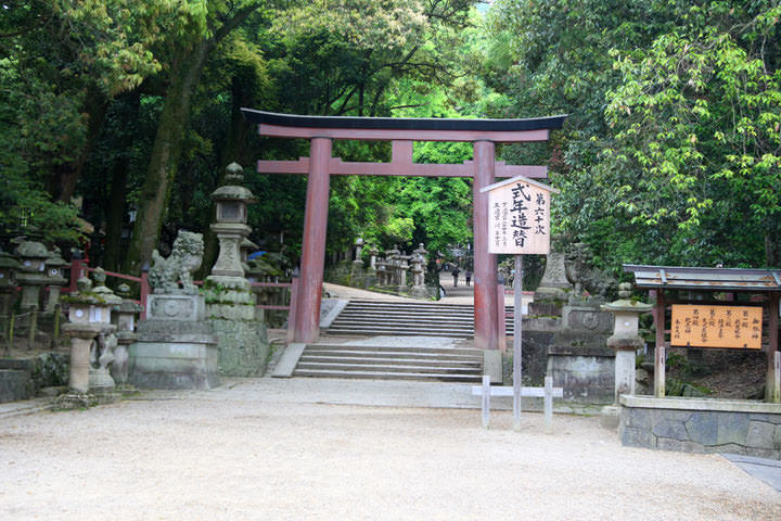 Kasuga taisya