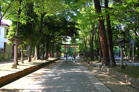 氷川神社