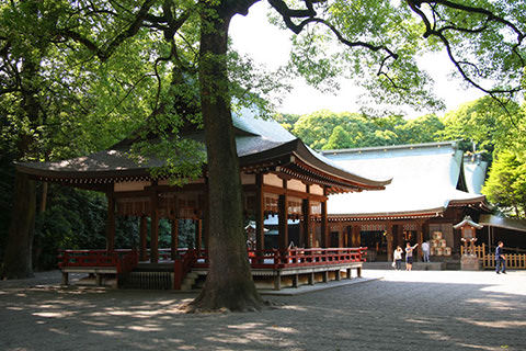 氷川神社