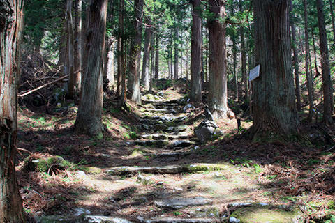 小菅神社講堂