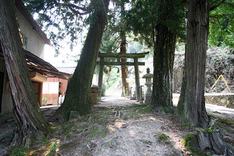 石上布都魂神社