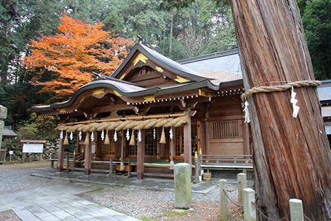 鳩ヶ嶺八幡宮