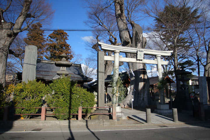 Shinano omiyasya