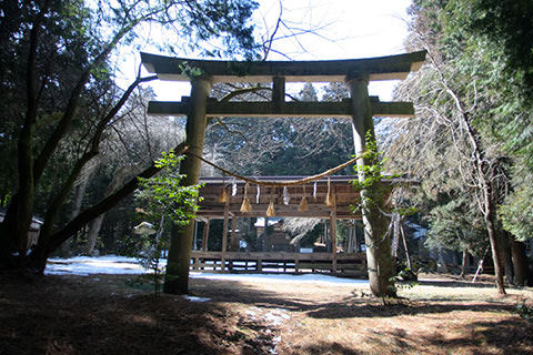 賀茂神社