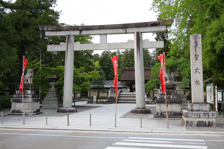 Taga taisya