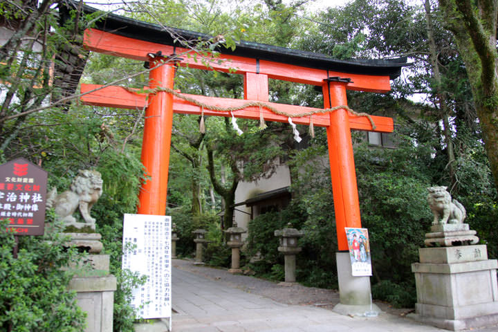 Uji jinja