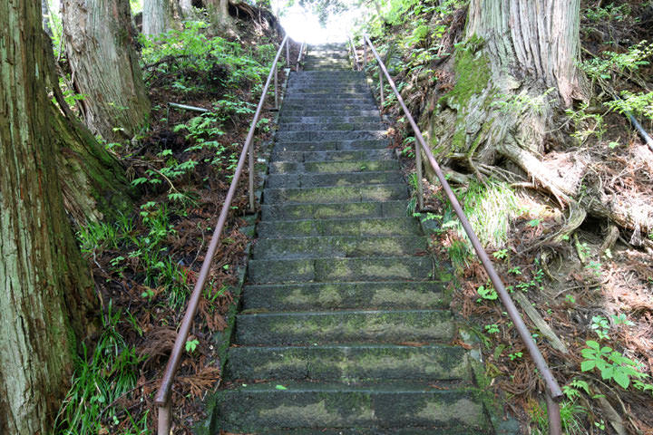 朝日社