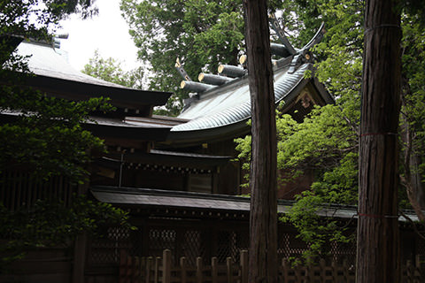 大麻比古神社