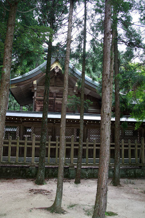 大麻比古神社