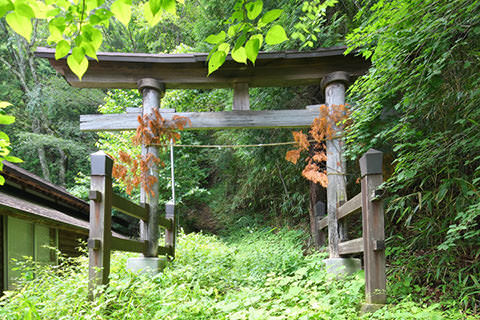 諏訪神社