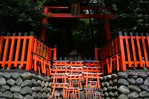 Torii Gate