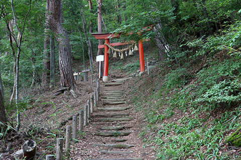 Shrine Path