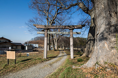 玉依姫神社