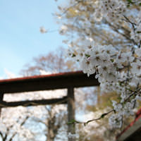 長田神社 長野市若穂川田1047 2 おみやさんcom 長田神社 長野市若穂川田1047 2 おみやさんcom