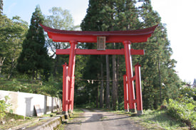 鳥居について